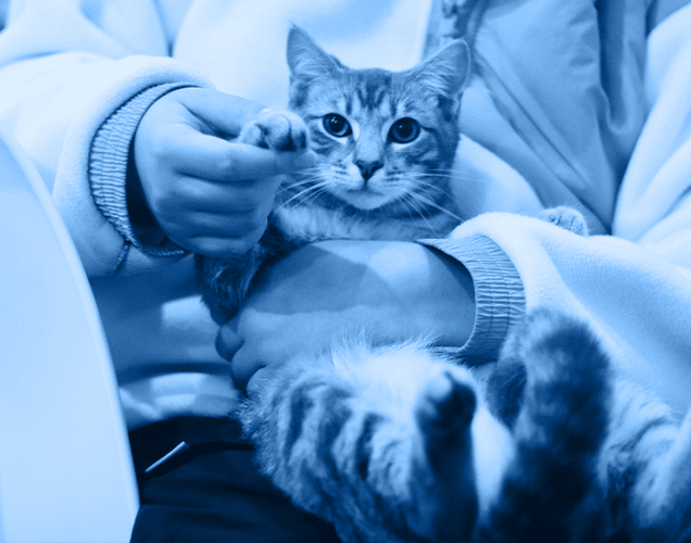 Animal Health